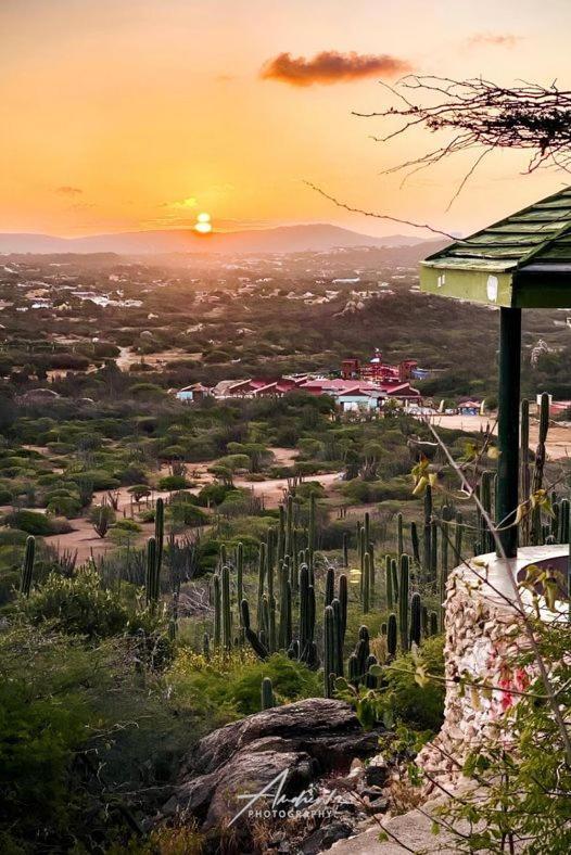Апартаменти Aruba Backpackers Ораньєстад Екстер'єр фото