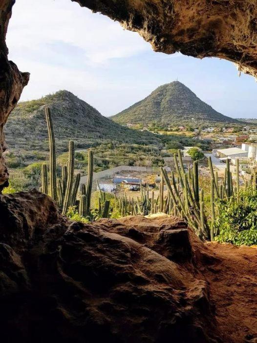 Апартаменти Aruba Backpackers Ораньєстад Екстер'єр фото