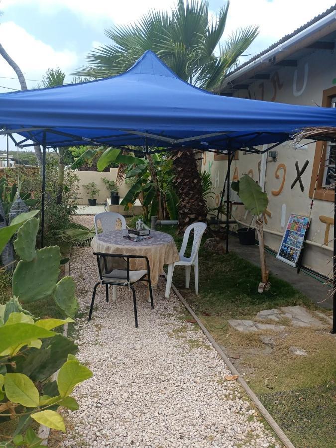 Апартаменти Aruba Backpackers Ораньєстад Екстер'єр фото